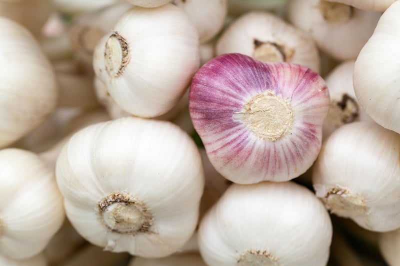 Garlic Bulbs